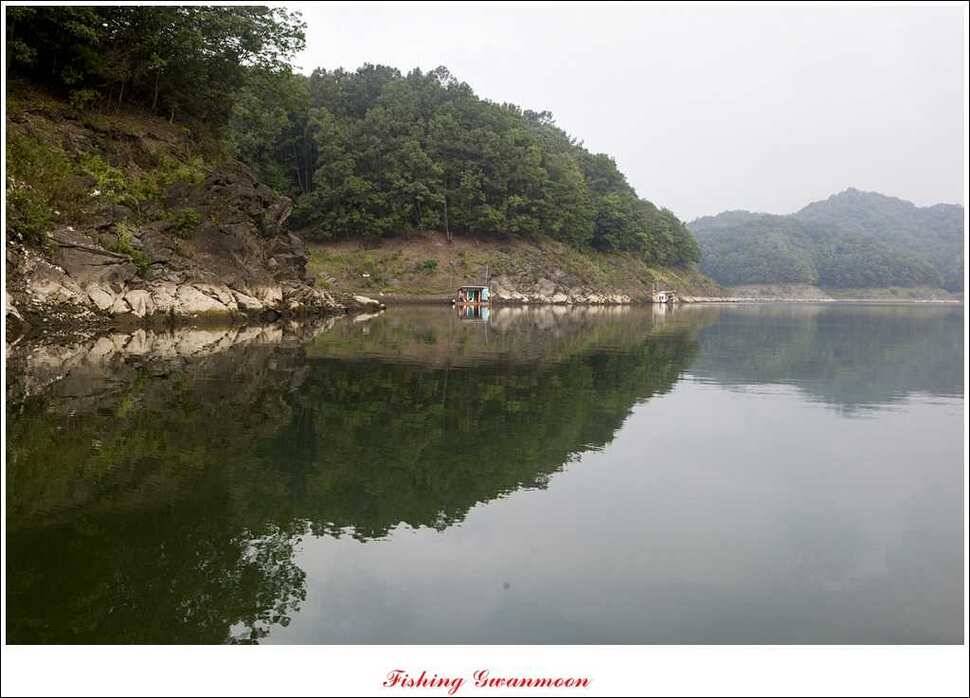 문골 장어돌감실리곡한버들 조황 (조황조행기 - 특파원조황)