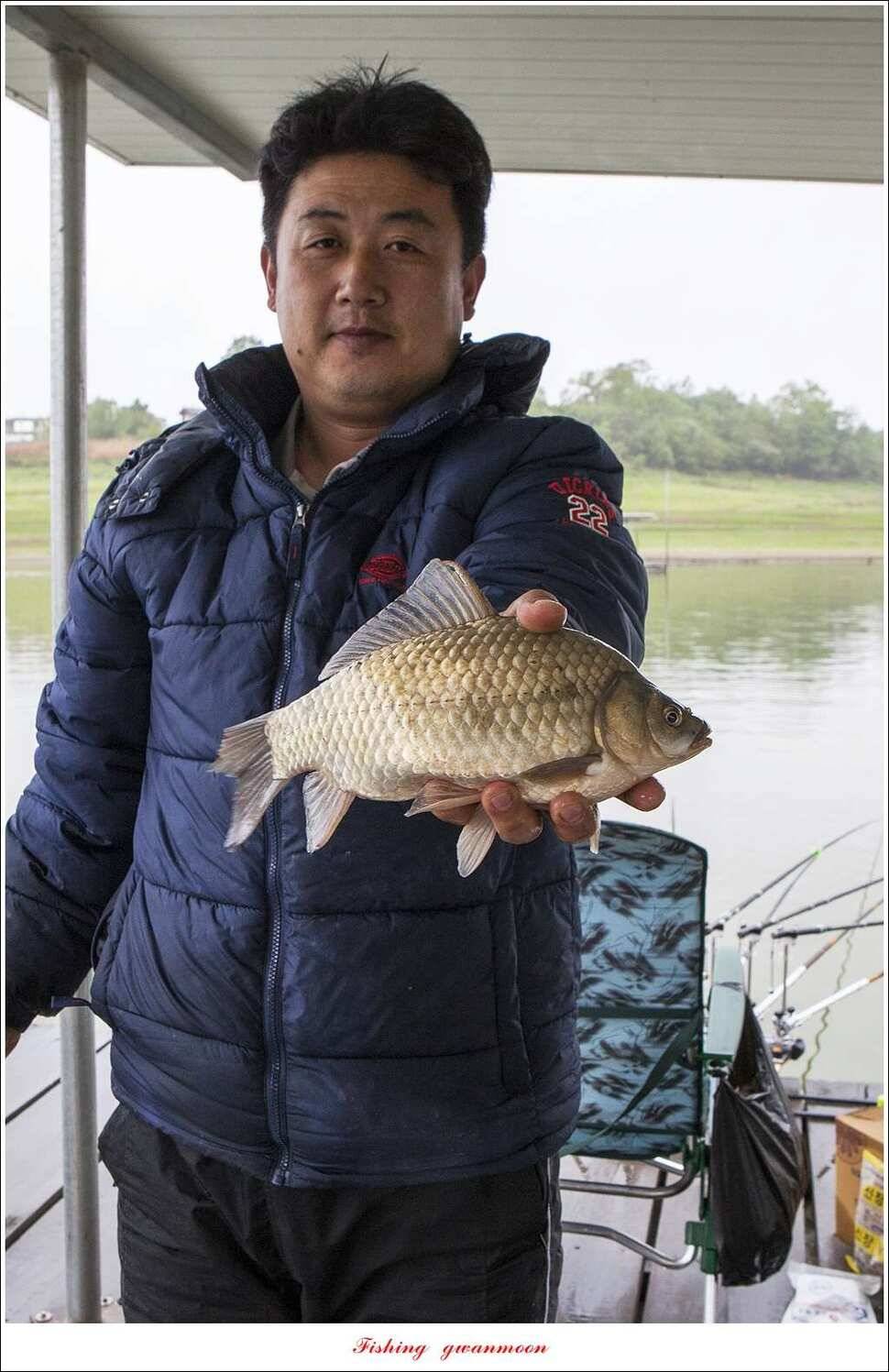 화곡지 사짜한버들 39 cm38 cm 돌감 마릿수 월척 호조황 (조황조행기 - 특파원조황)