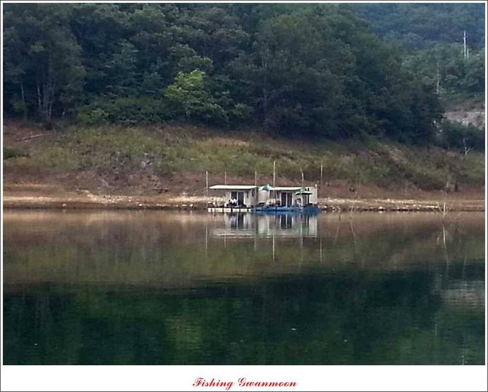 문골 장어돌감실리곡한버들 조황 (조황조행기 - 특파원조황)
