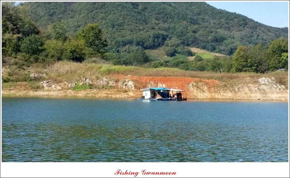 짱가네달천강 월척 (조황조행기 - 특파원조황)
