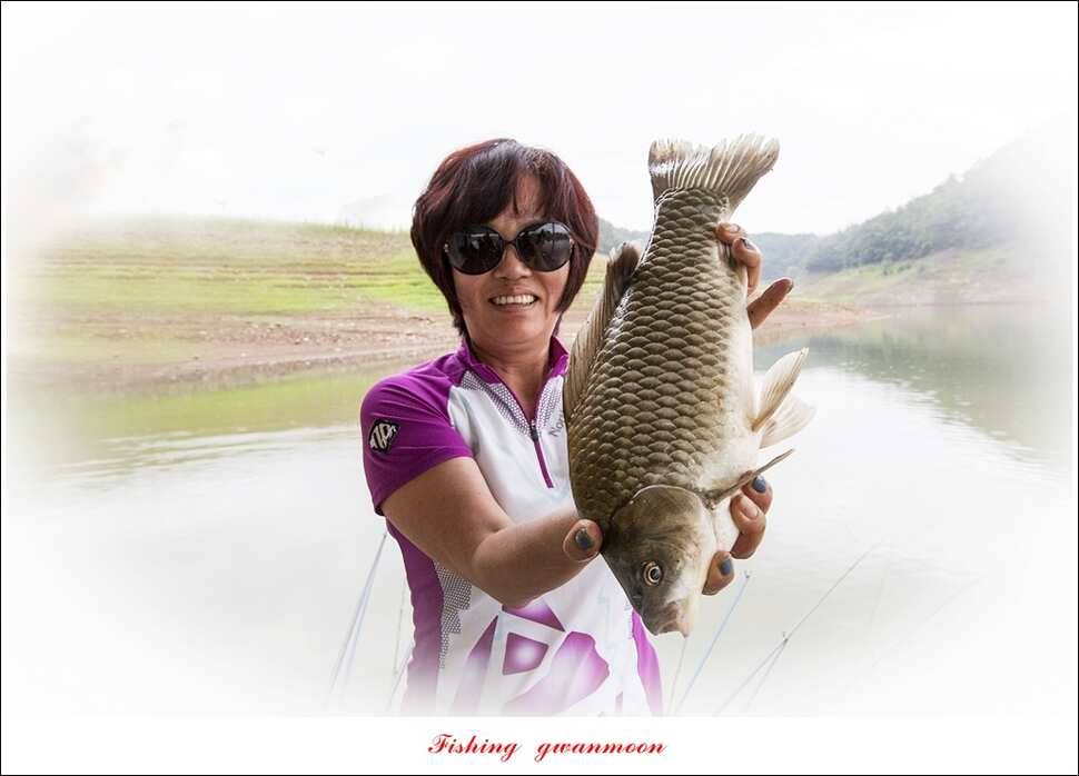 한버들 41 cm405 cm실리곡 마릿수 조황 (조황조행기 - 특파원조황)