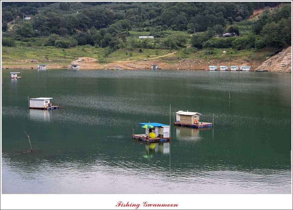 솔 낚시터실리곡 조황 (조황조행기 - 특파원조황)
