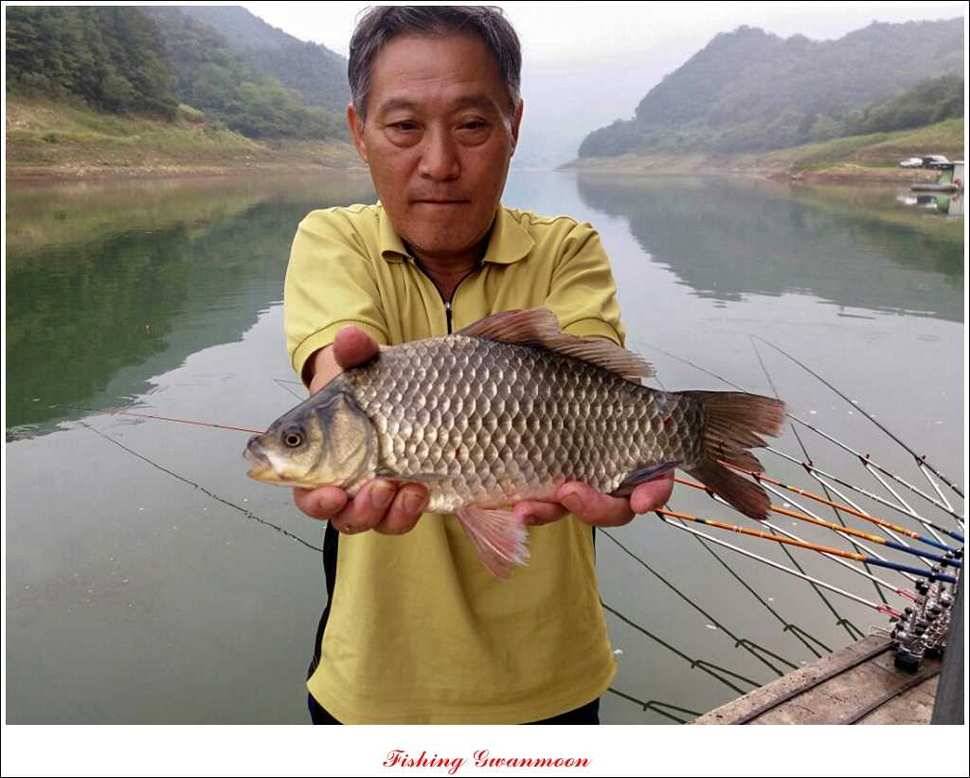 문골 장어돌감실리곡한버들 조황 (조황조행기 - 특파원조황)