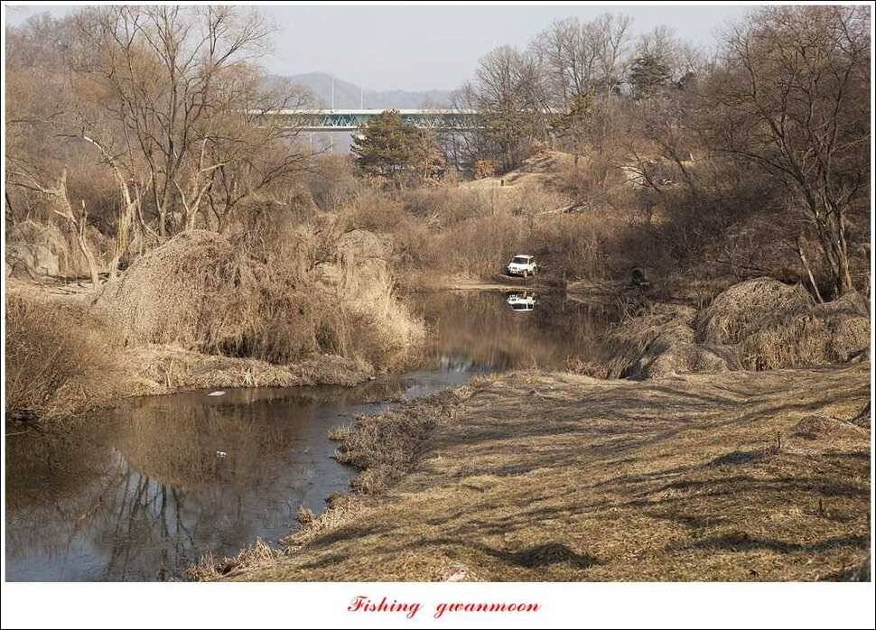 충주괴산권 현황 (조황조행기 - 특파원조황)
