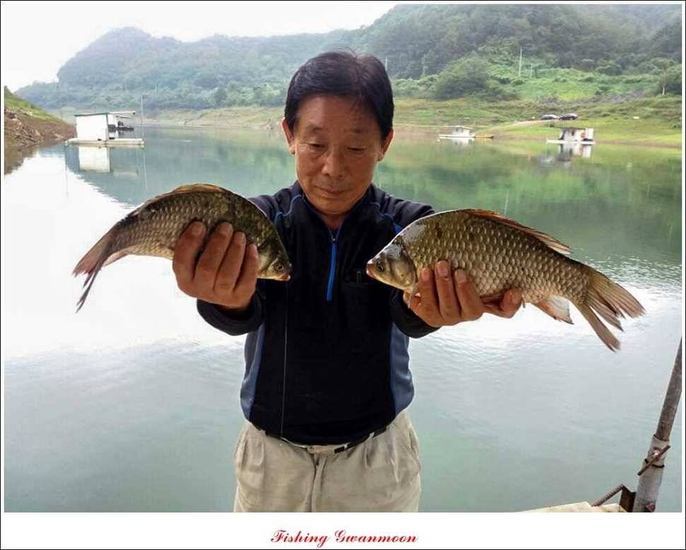 솔 낚시터실리곡 조황 (조황조행기 - 특파원조황)