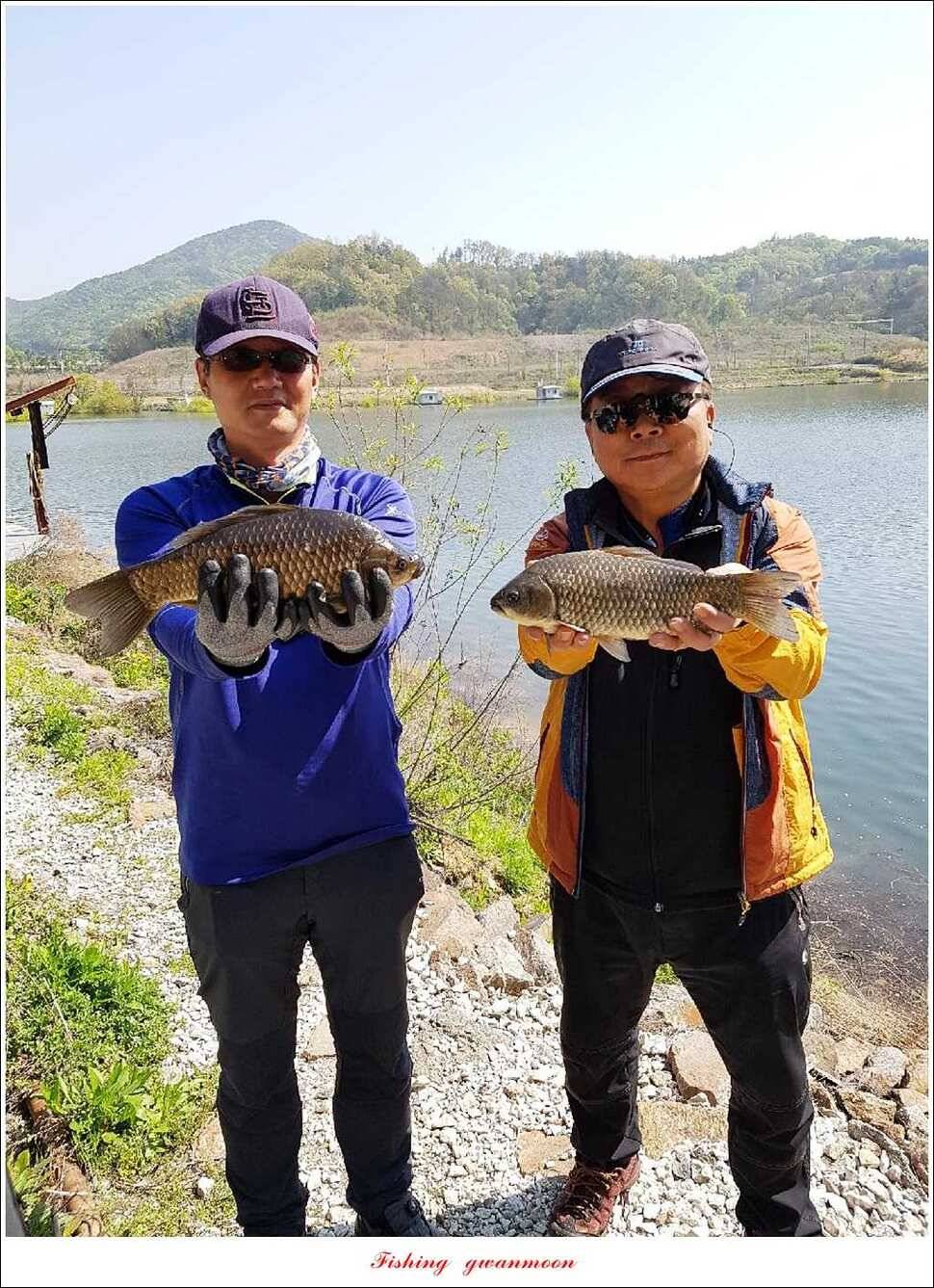 실리곡 월척화곡지 사짜달천강 대물 조황 (조황조행기 - 특파원조황)