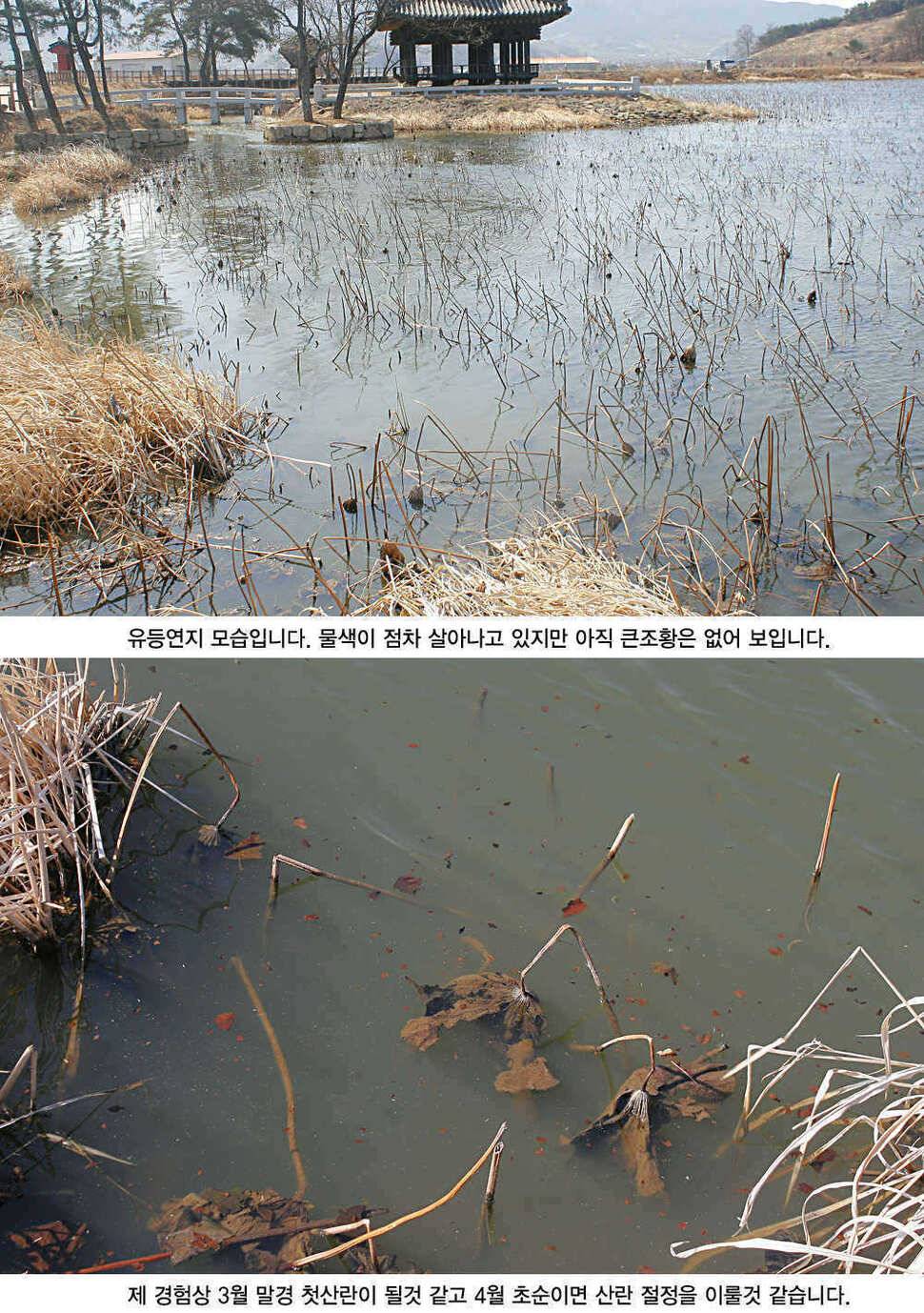 청도권 본격적인 밤낚시 시즌입니다 (조황조행기 - 특파원조황)