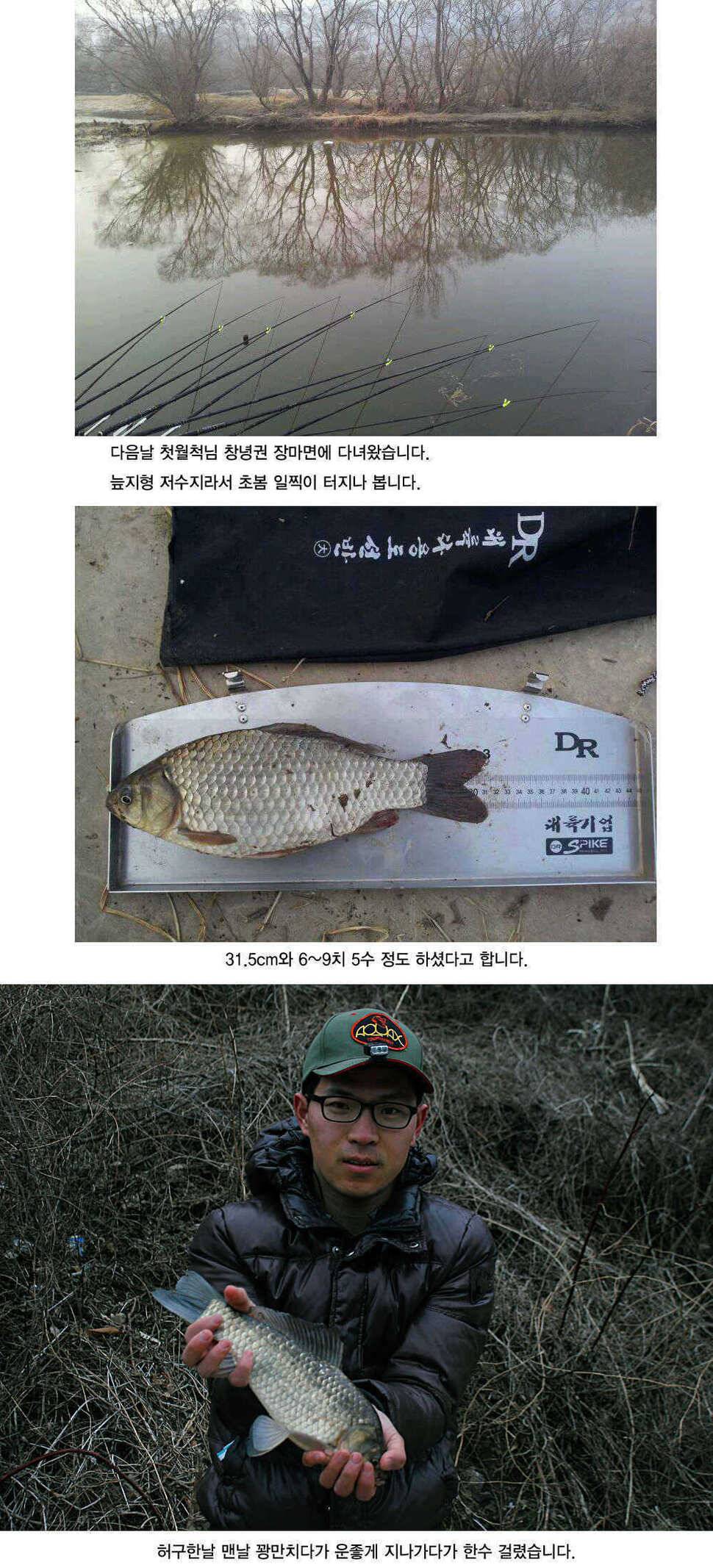 청도권 본격적인 밤낚시 시즌입니다 (조황조행기 - 특파원조황)
