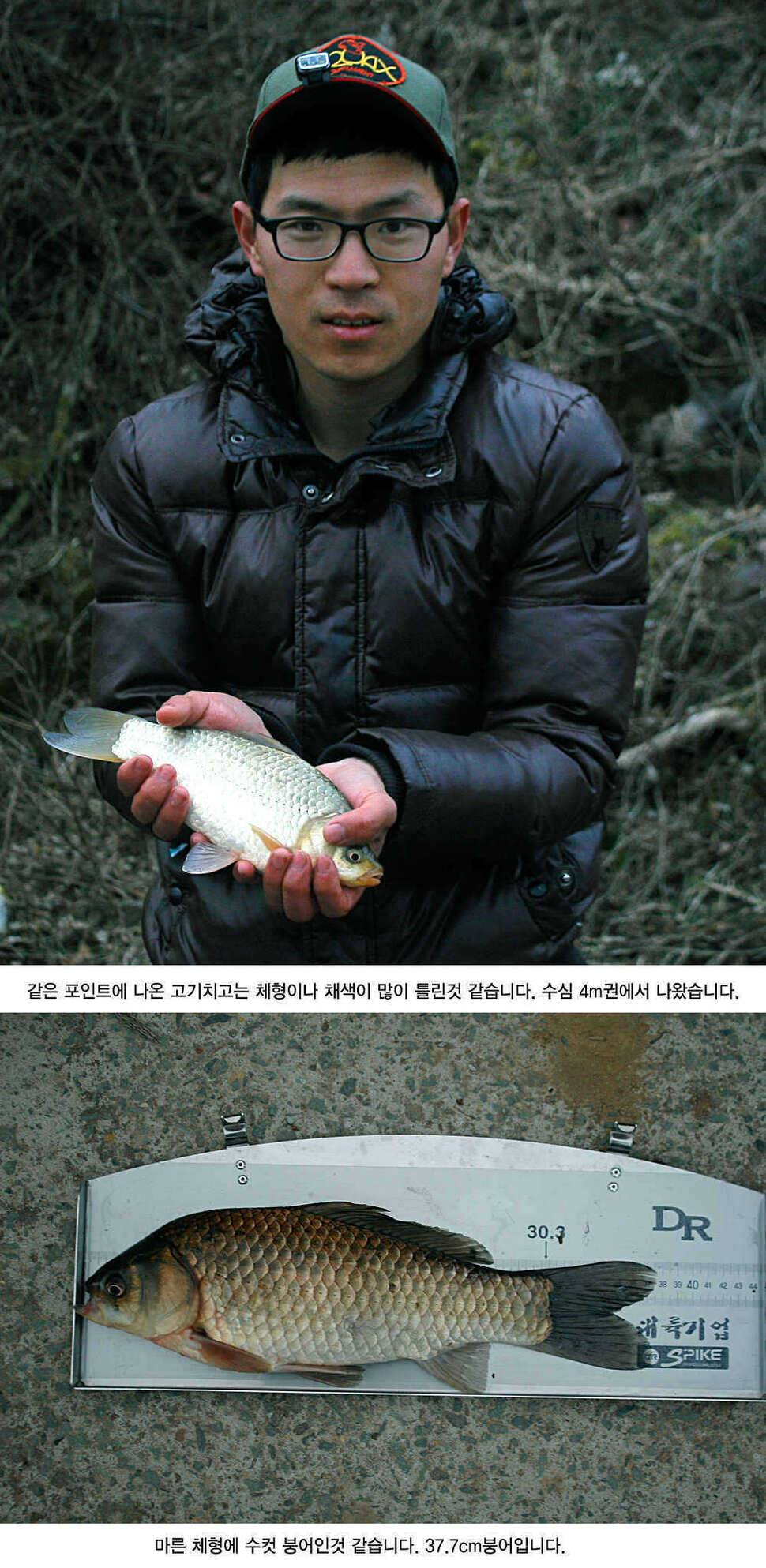 청도권 본격적인 밤낚시 시즌입니다 (조황조행기 - 특파원조황)