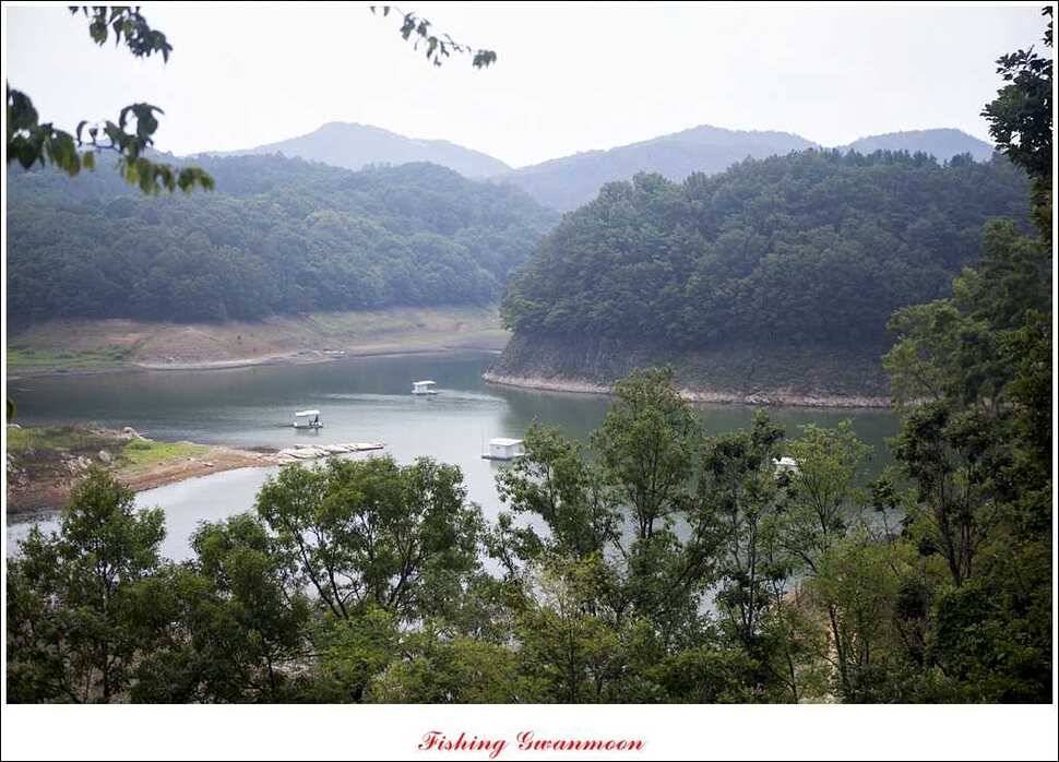 문골 장어돌감실리곡한버들 조황 (조황조행기 - 특파원조황)