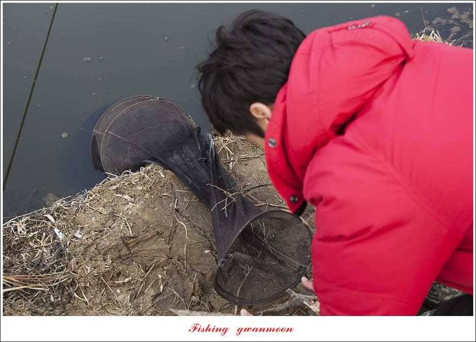 충주괴산권 현황 (조황조행기 - 특파원조황)