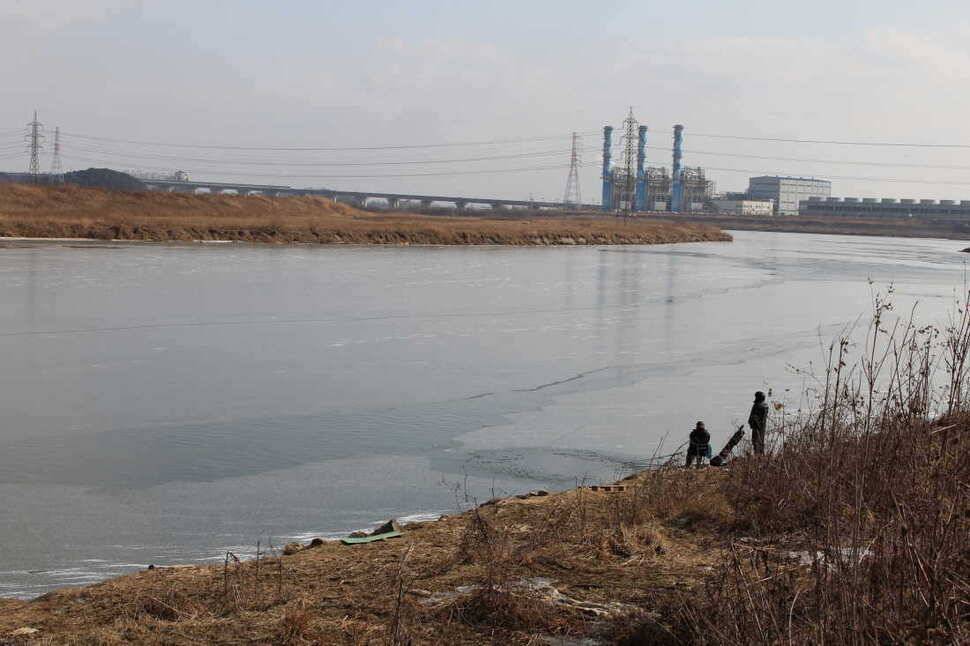 백봉수로27일 조황 (조황조행기 - 특파원조황)