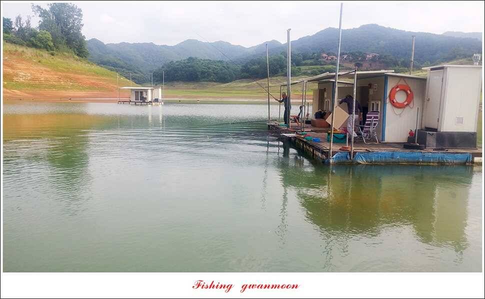 병호 월척장어돌감한버들 월척 조황 (조황조행기 - 특파원조황)