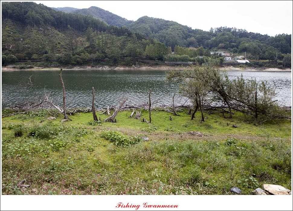 짱가네달천강 월척 (조황조행기 - 특파원조황)