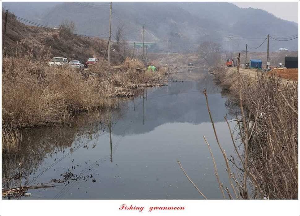 충주괴산권 현황 (조황조행기 - 특파원조황)