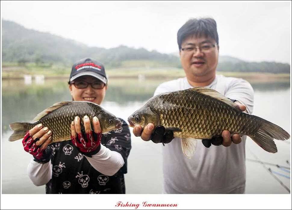 대류 한버들 사짜추평지 사짜 (조황조행기 - 특파원조황)
