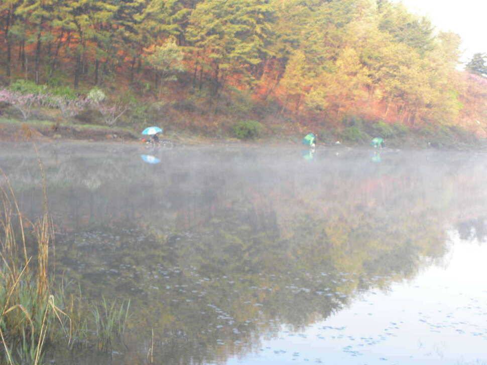 경산 자인권 조황 (조황조행기 - 특파원조황)