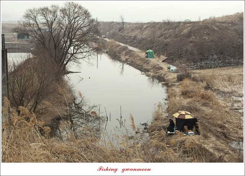 충주괴산권 현황 (조황조행기 - 특파원조황)