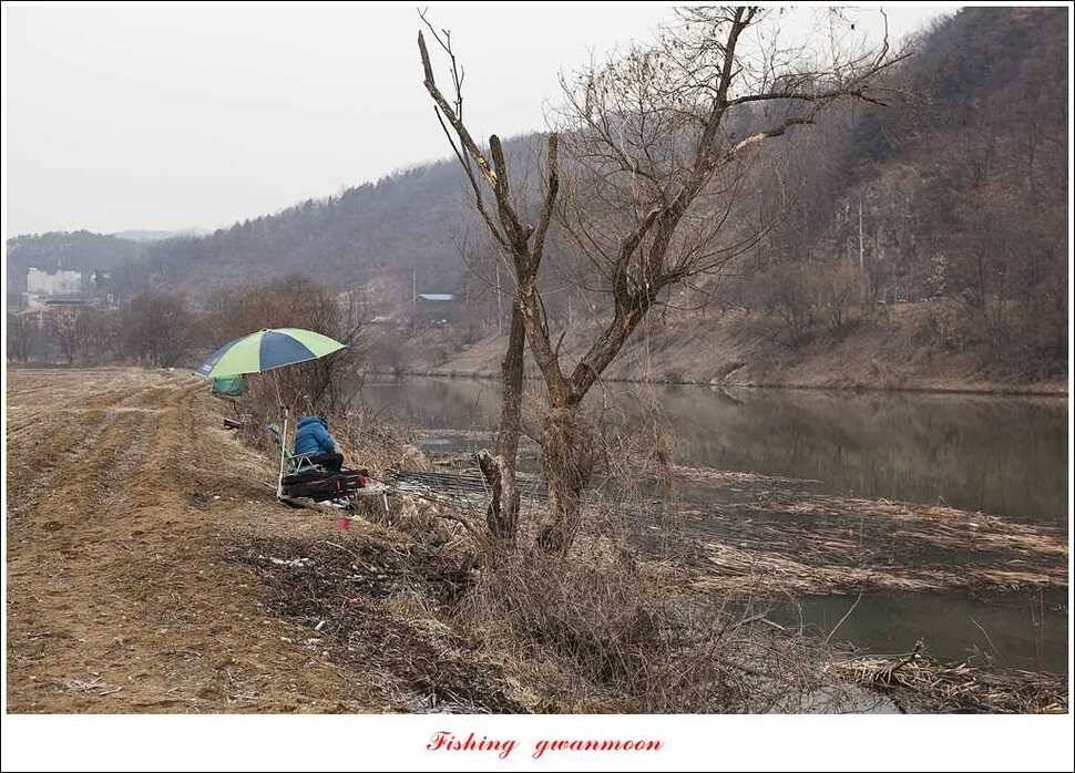 충주괴산권 현황 (조황조행기 - 특파원조황)