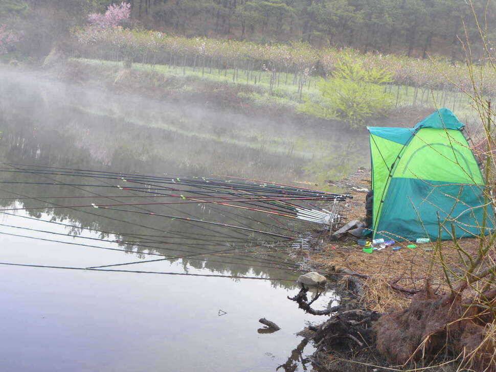 경산 자인권 조황 (조황조행기 - 특파원조황)