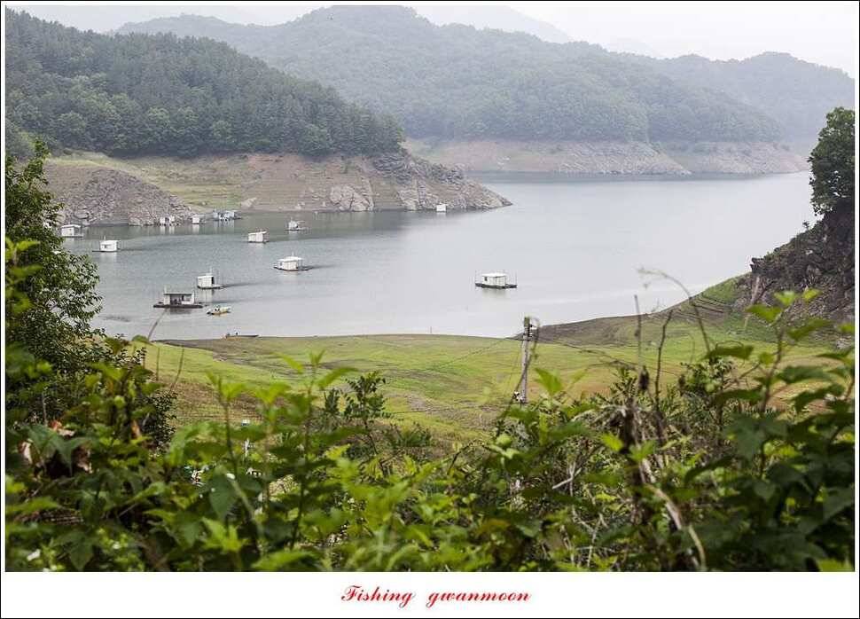 병호 월척장어돌감한버들 월척 조황 (조황조행기 - 특파원조황)