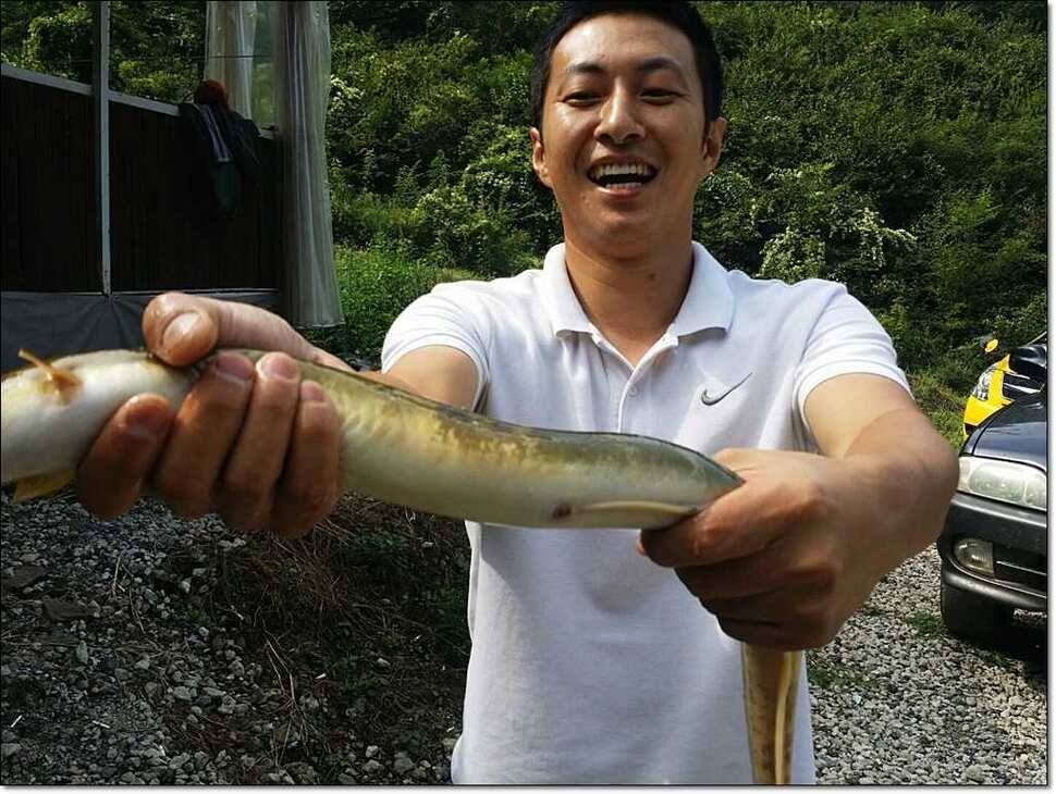 충주호 오름수위 현황 (조황조행기 - 특파원조황)