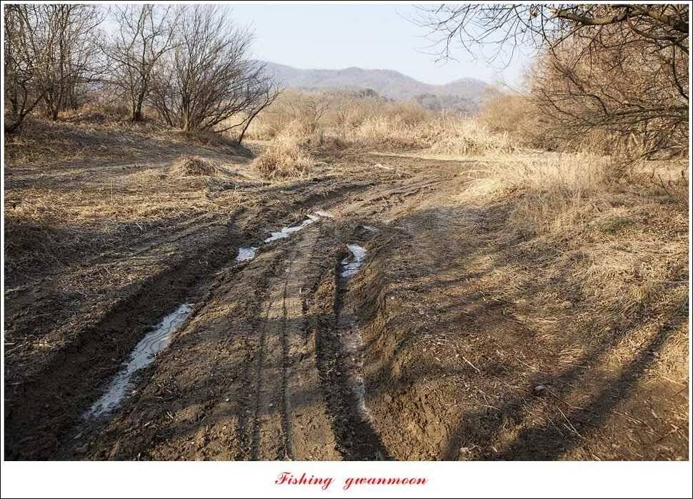 충주괴산권 현황 (조황조행기 - 특파원조황)