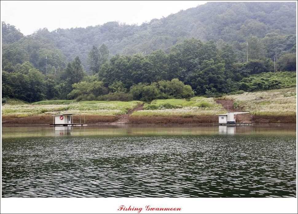 대류 한버들 사짜추평지 사짜 (조황조행기 - 특파원조황)