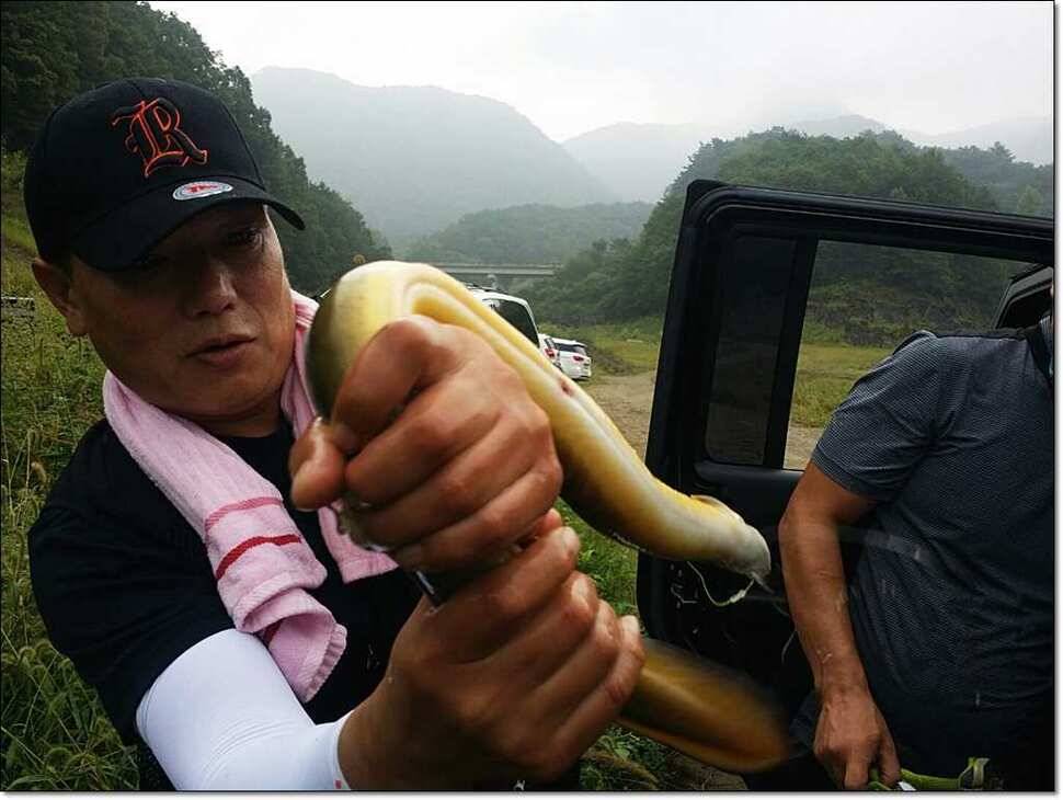 충주호 오름수위 현황 (조황조행기 - 특파원조황)