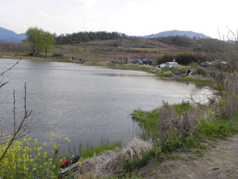 경산 자인권 조황 (조황조행기 - 특파원조황)