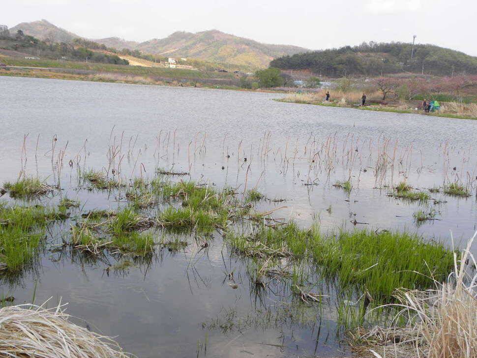 경산 자인권 조황 (조황조행기 - 특파원조황)