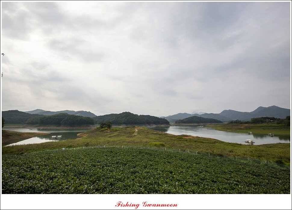 한버들돌감실리곡화곡지노지 조황 (조황조행기 - 특파원조황)