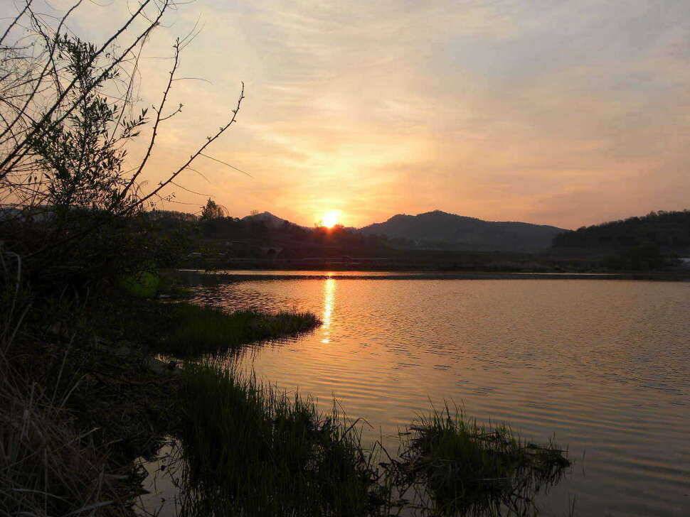 경산 자인권 조황 (조황조행기 - 특파원조황)