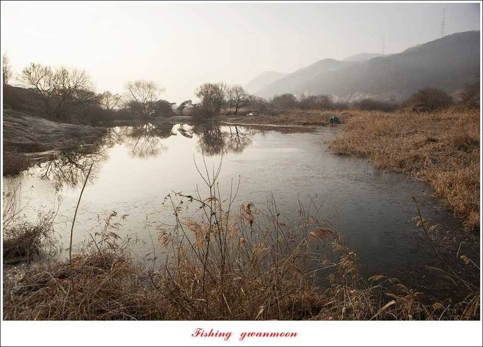 충주괴산권 현황 (조황조행기 - 특파원조황)