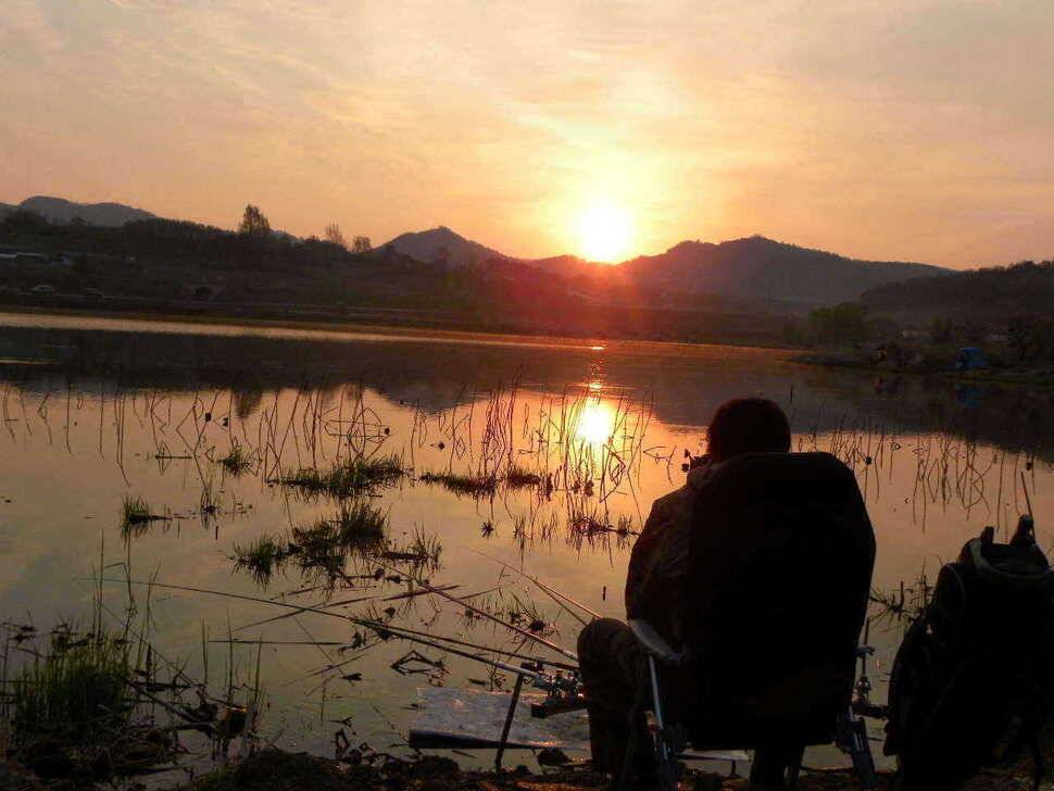 경산 자인권 조황 (조황조행기 - 특파원조황)