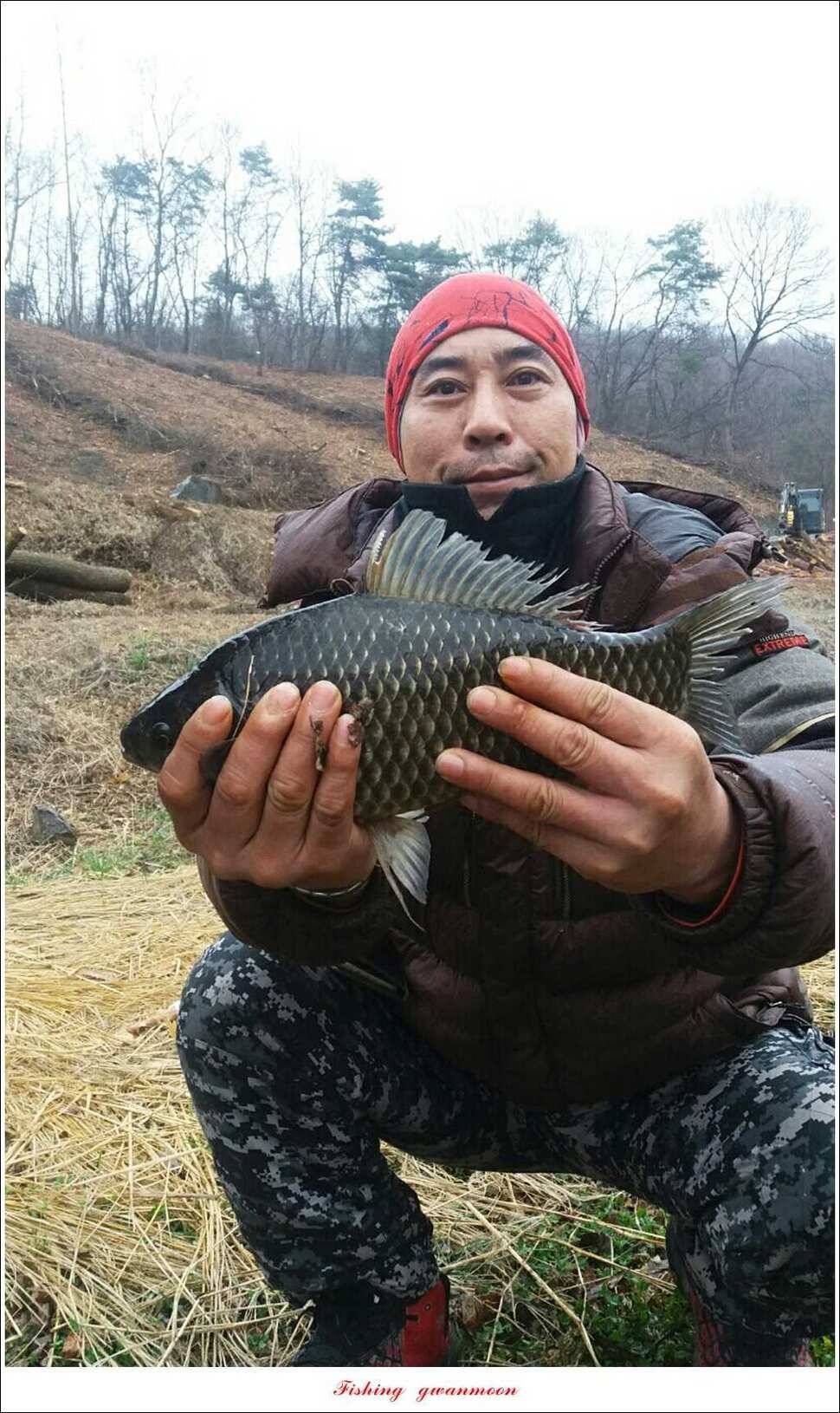 매전지 월척 (조황조행기 - 특파원조황)