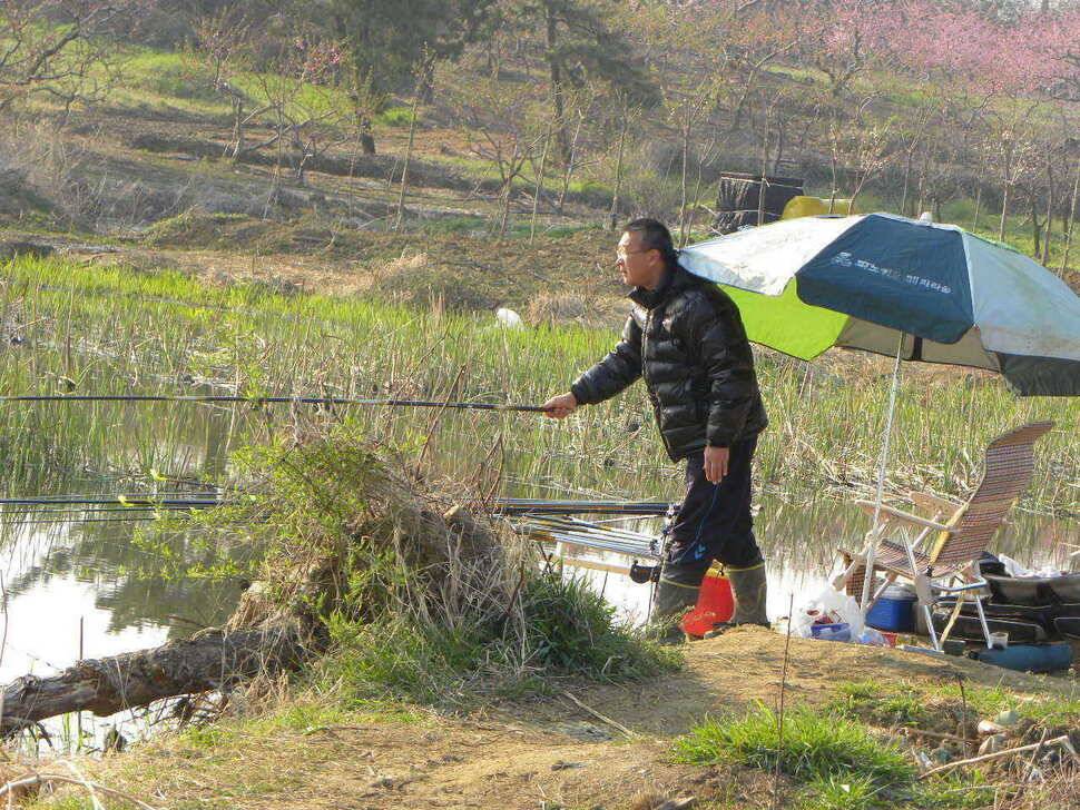 경산 자인권 조황 (조황조행기 - 특파원조황)
