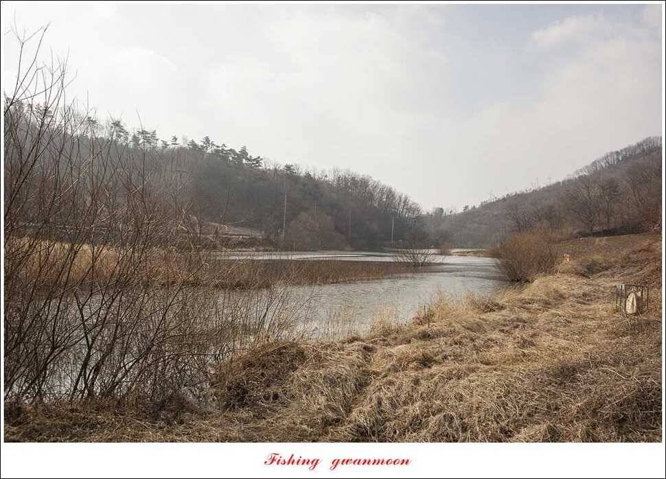 충주괴산권 현황 (조황조행기 - 특파원조황)