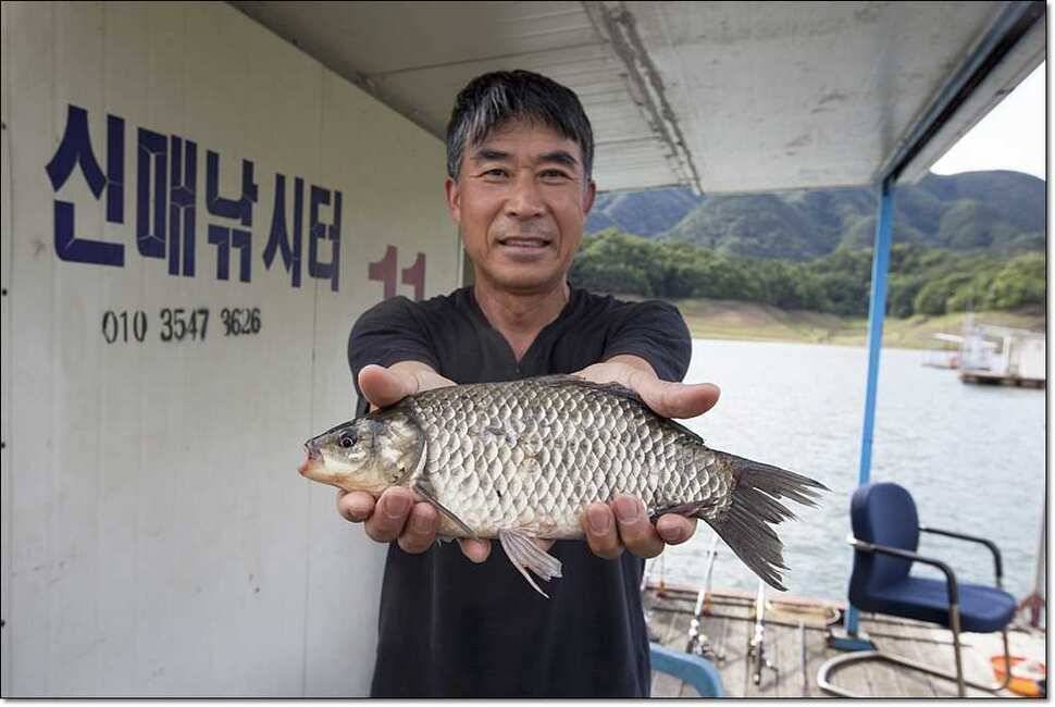 한버들 사짜신매 월척달천강 월척 (조황조행기 - 특파원조황)