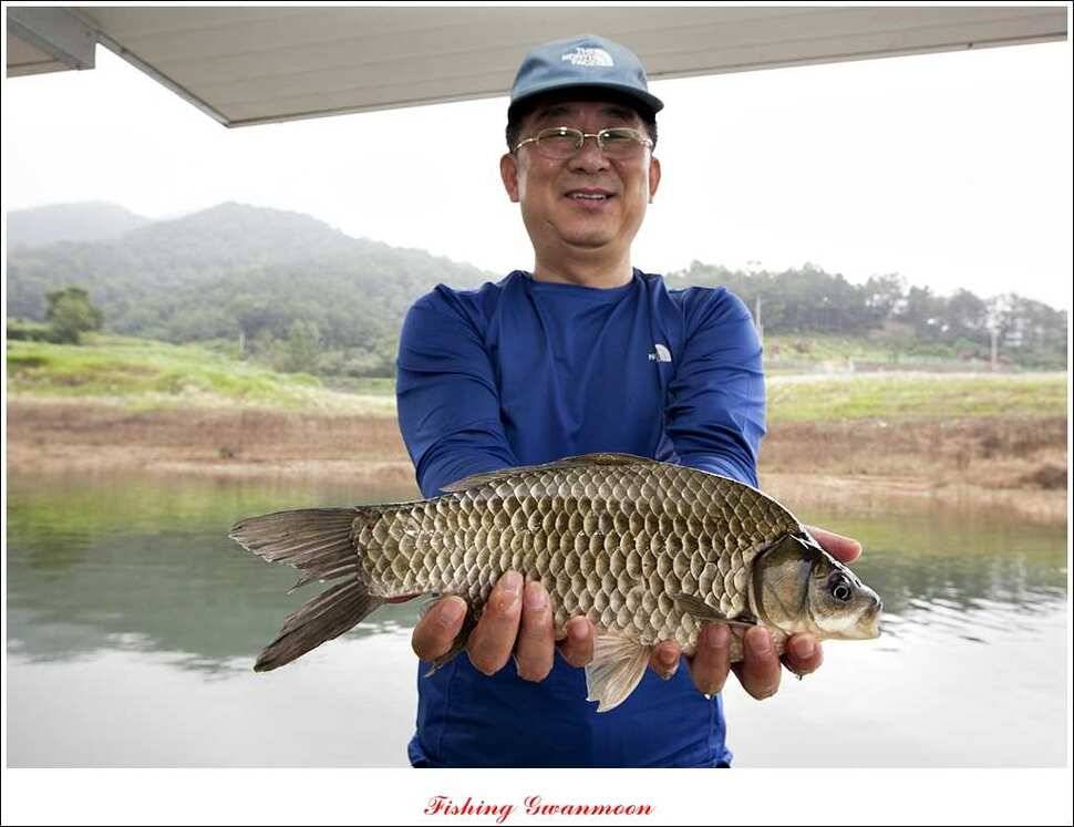 한버들 호조황화곡지 조황 (조황조행기 - 특파원조황)