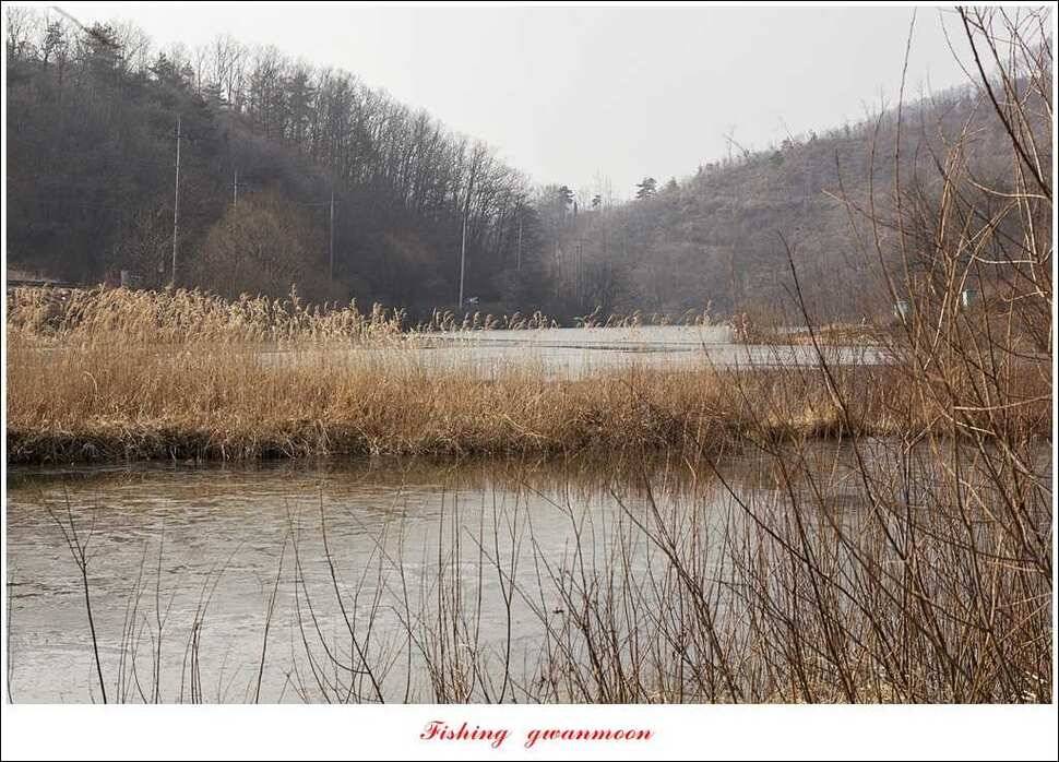 충주괴산권 현황 (조황조행기 - 특파원조황)