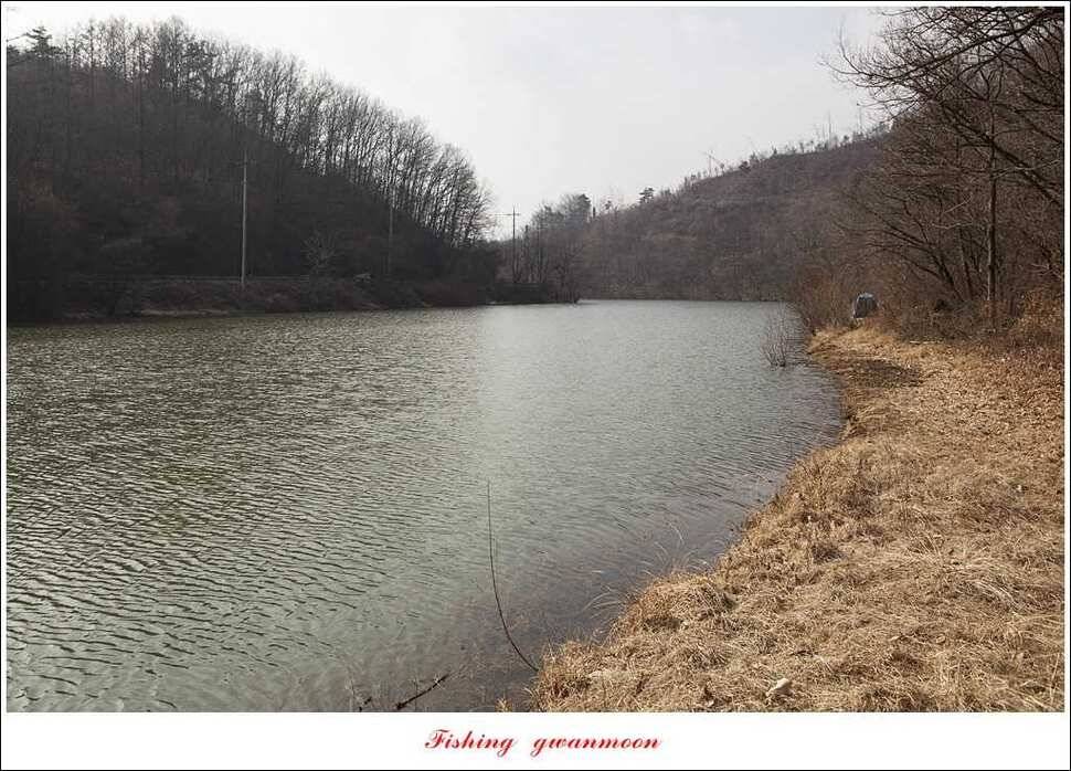 충주괴산권 현황 (조황조행기 - 특파원조황)