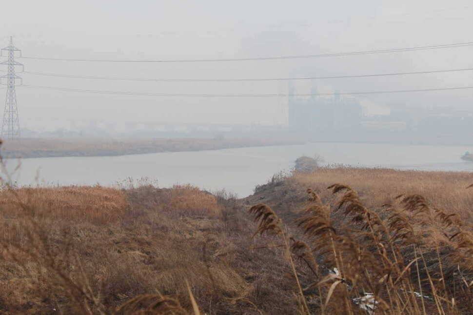 백봉수로 오늘 조황 (조황조행기 - 특파원조황)