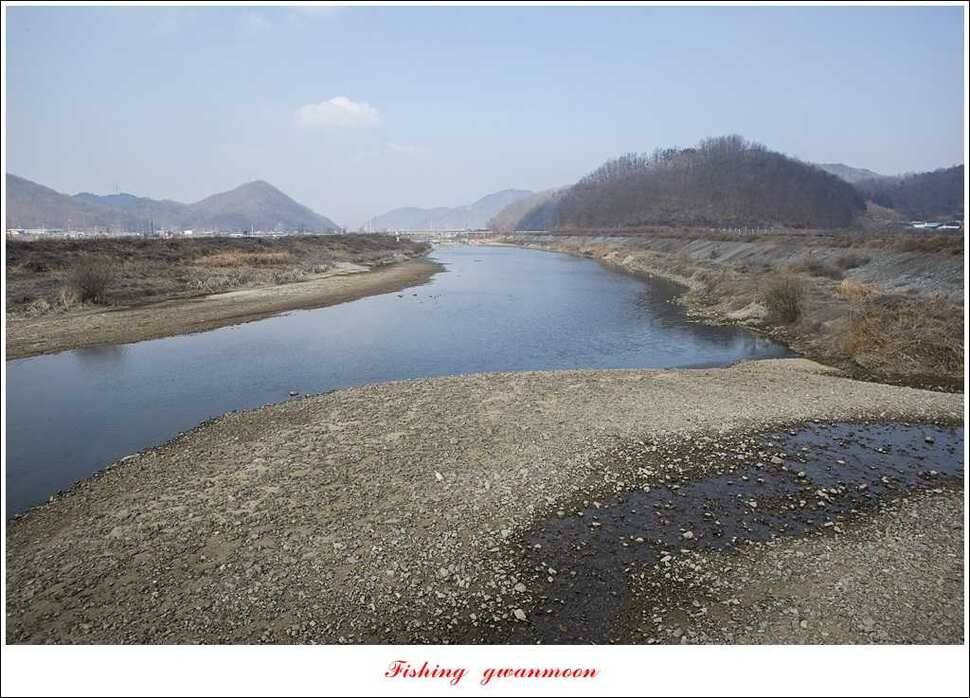 충주괴산권 현황 (조황조행기 - 특파원조황)