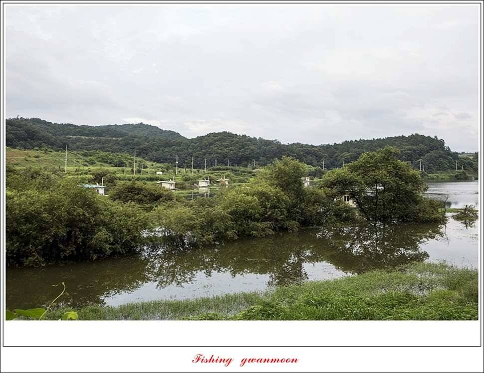 화곡지실리곡 오짜 조황 (조황조행기 - 특파원조황)