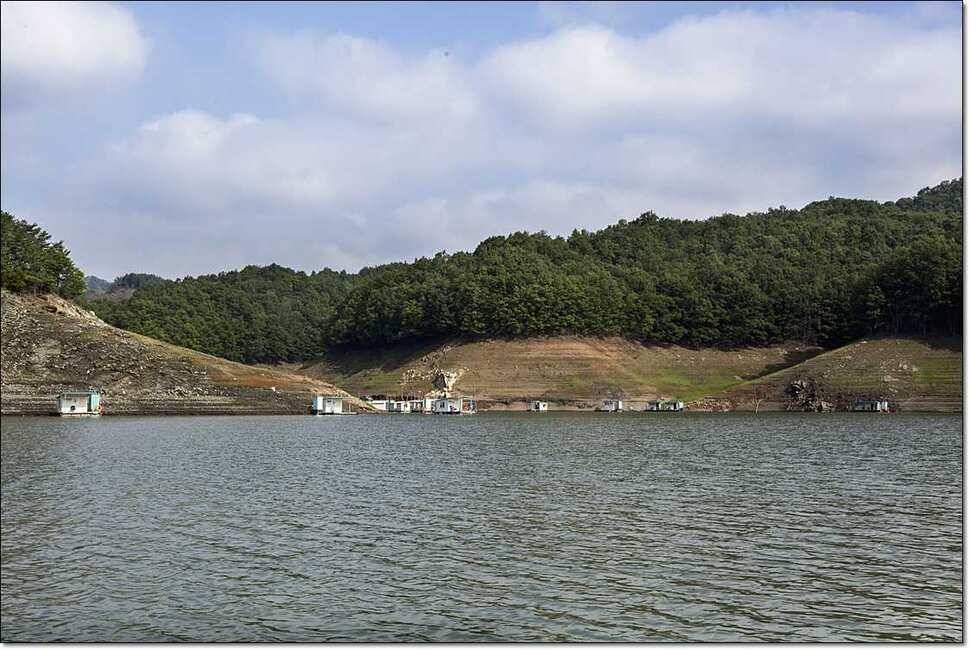 신매 사짜병호 월척한버들 월척 (조황조행기 - 특파원조황)