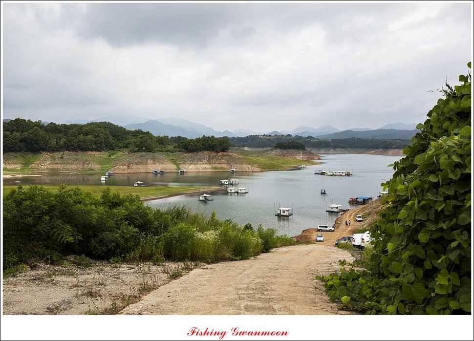 연론리 돌감짱가네대류 한버들 조황 (조황조행기 - 특파원조황)