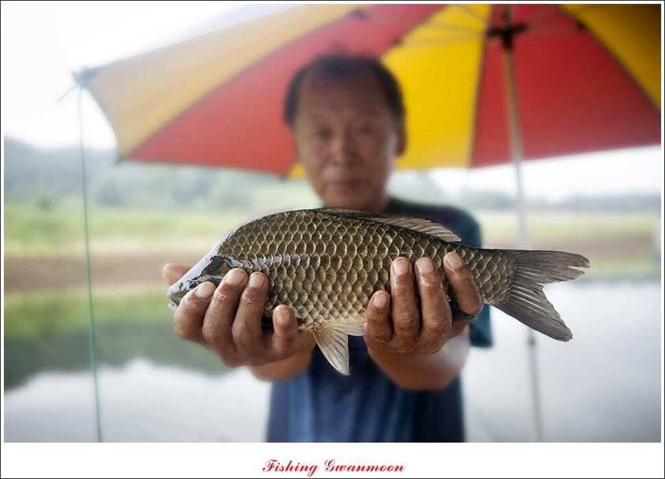 대류 한버들 사짜추평지 사짜 (조황조행기 - 특파원조황)