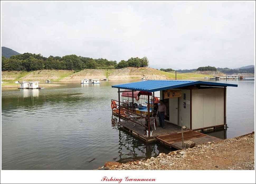 연론리 돌감짱가네대류 한버들 조황 (조황조행기 - 특파원조황)