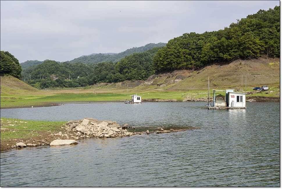 신매 사짜병호 월척한버들 월척 (조황조행기 - 특파원조황)